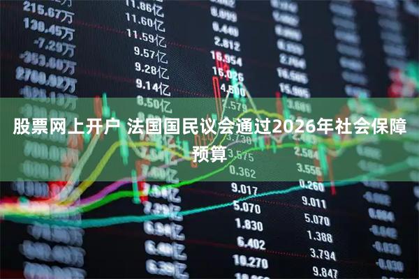 股票网上开户 法国国民议会通过2026年社会保障预算