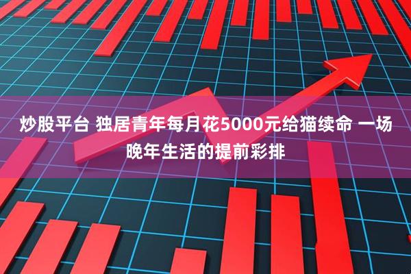 炒股平台 独居青年每月花5000元给猫续命 一场晚年生活的提前彩排