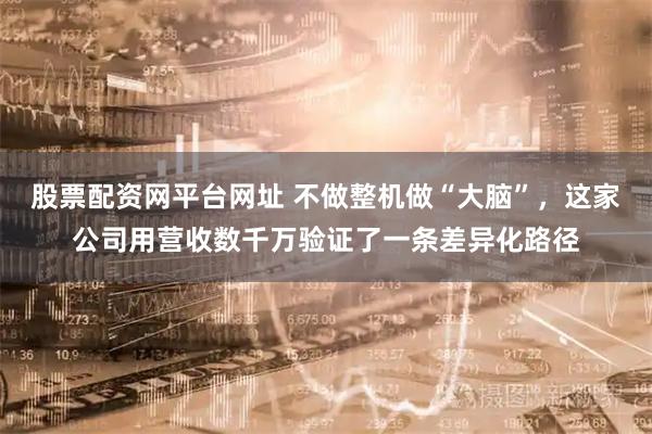 股票配资网平台网址 不做整机做“大脑”，这家公司用营收数千万验证了一条差异化路径